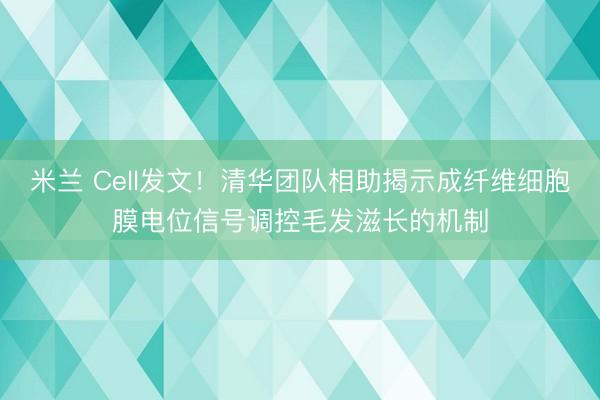 米兰 Cell发文!清华团队相助揭示成纤维细胞膜电位信号调控毛发滋长的机制