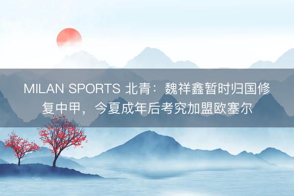 MILAN SPORTS 北青:魏祥鑫暂时归国修复中甲,今夏成年后考究加盟欧塞尔