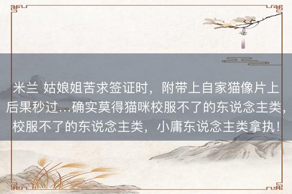 米兰 姑娘姐苦求签证时,附带上自家猫像片上去,发曩昔后没多久,后果秒过…确实莫得猫咪校服不了的东说念主类,小庸东说念主类拿执!