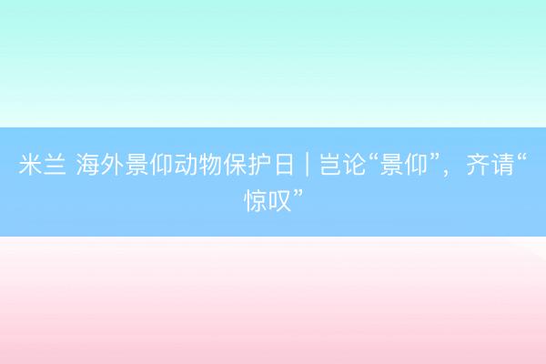 米兰 海外景仰动物保护日 | 岂论“景仰”，齐请“惊叹”