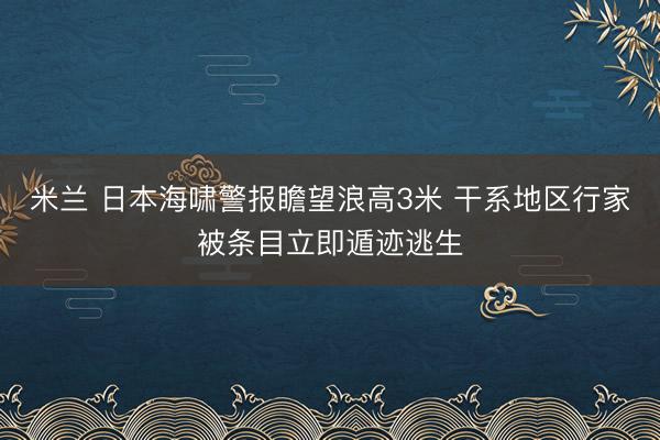 米兰 日本海啸警报瞻望浪高3米 干系地区行家被条目立即遁迹逃生
