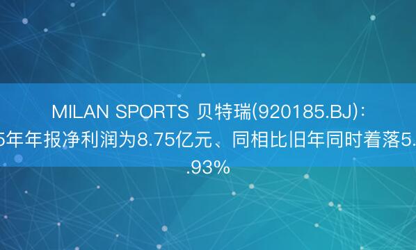MILAN SPORTS 贝特瑞(920185.BJ)：2025年年报净利润为8.75亿元、同相比旧年同时着落5.93%