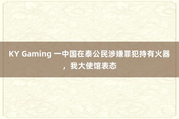 KY Gaming 一中国在泰公民涉嫌罪犯持有火器，我大使馆表态
