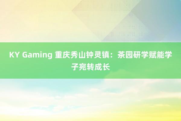 KY Gaming 重庆秀山钟灵镇：茶园研学赋能学子宛转成长