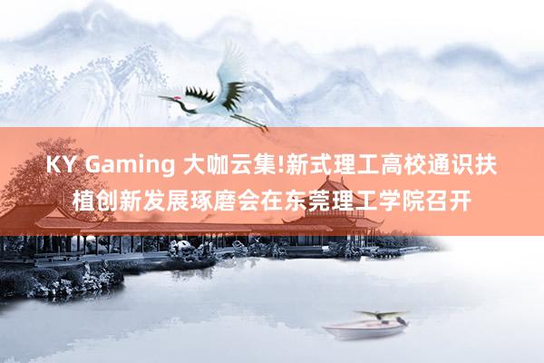 KY Gaming 大咖云集!新式理工高校通识扶植创新发展琢磨会在东莞理工学院召开