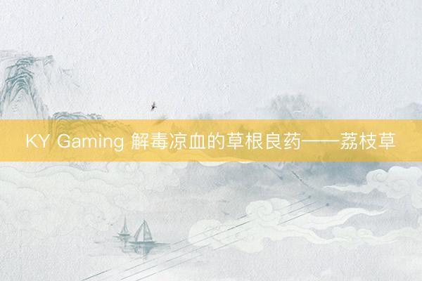 KY Gaming 解毒凉血的草根良药——荔枝草