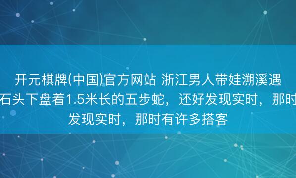 开元棋牌(中国)官方网站 浙江男人带娃溯溪遇惊魂一幕：石头下盘着1.5米长的五步蛇，还好发现实时，那时有许多搭客