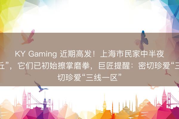 KY Gaming 近期高发！上海市民家中半夜惊现“泥丘”，它们已初始擦掌磨拳，巨匠提醒：密切珍爱“三线一区”