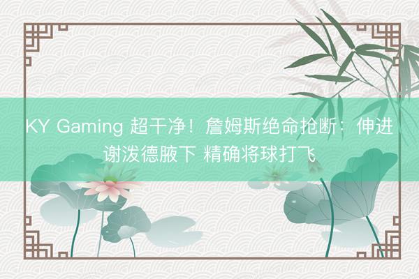KY Gaming 超干净！詹姆斯绝命抢断：伸进谢泼德腋下 精确将球打飞
