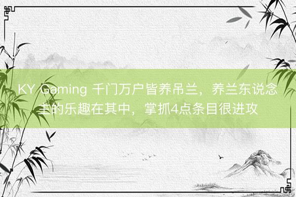 KY Gaming 千门万户皆养吊兰，养兰东说念主的乐趣在其中，掌抓4点条目很进攻