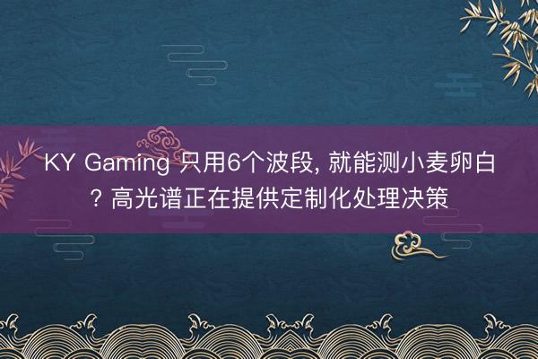KY Gaming 只用6个波段， 就能测小麦卵白? 高光谱正在提供定制化处理决策