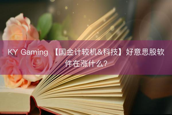 KY Gaming 【国金计较机&科技】好意思股软件在涨什么？