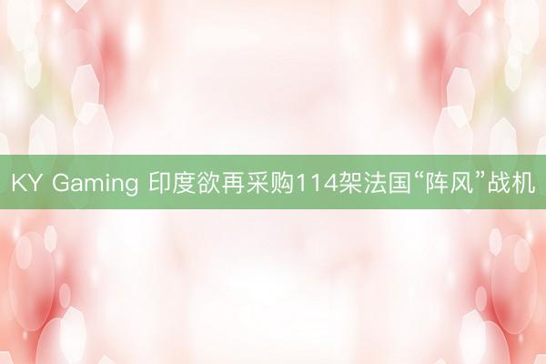 KY Gaming 印度欲再采购114架法国“阵风”战机