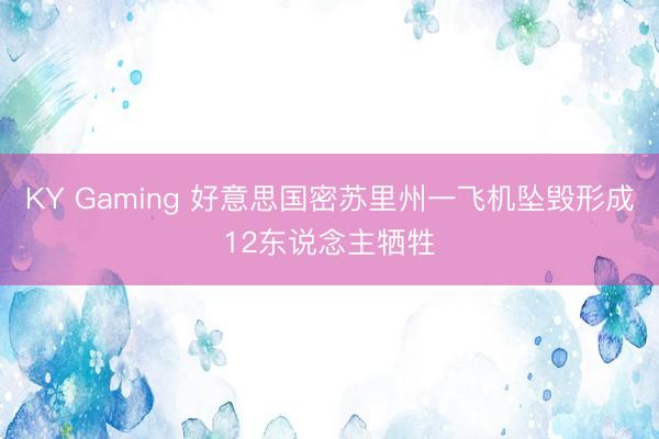 KY Gaming 好意思国密苏里州一飞机坠毁形成12东说念主牺牲